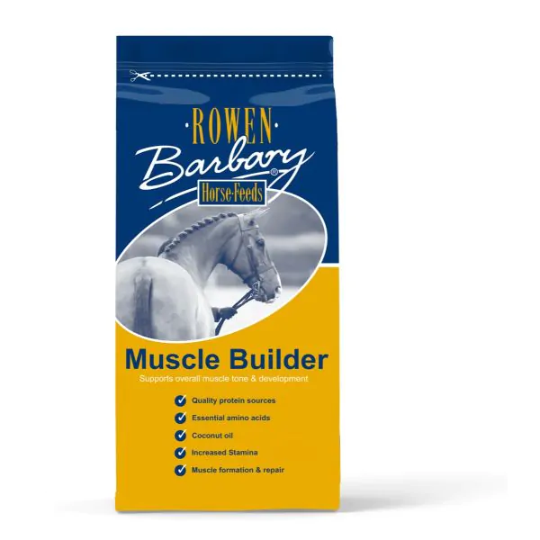 Muscle Builder - Muscle tone & development