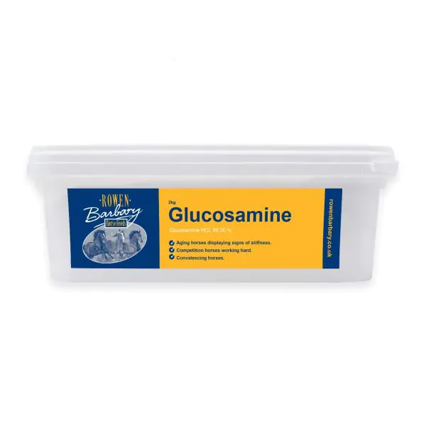 Glucosamine - For Healthy Joints