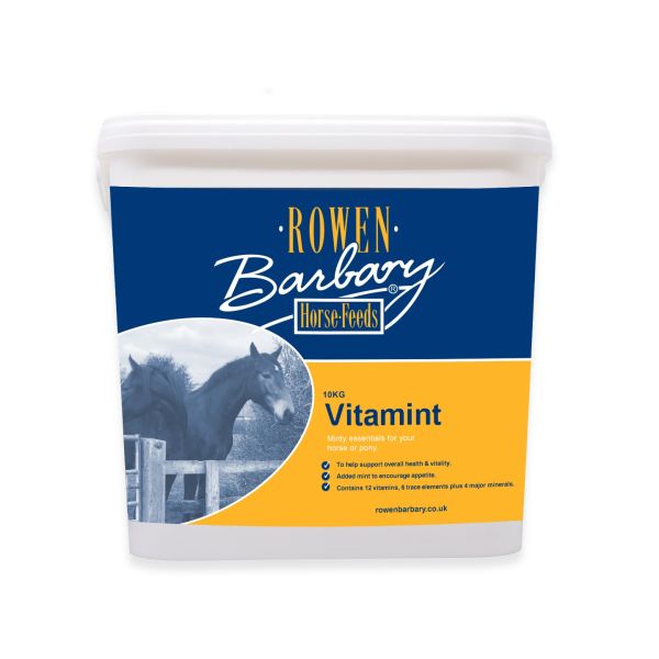 Vitamint - Minty Essentials