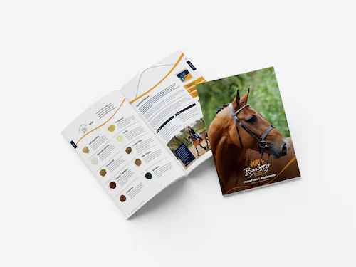 brochure icon