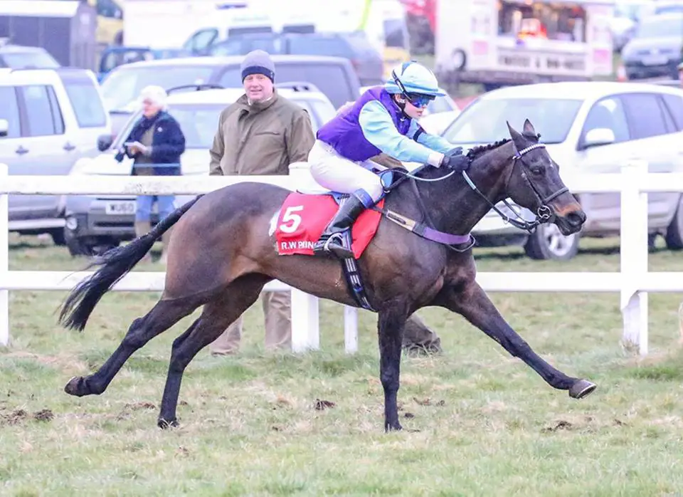 Veno Star winning at Larkhill