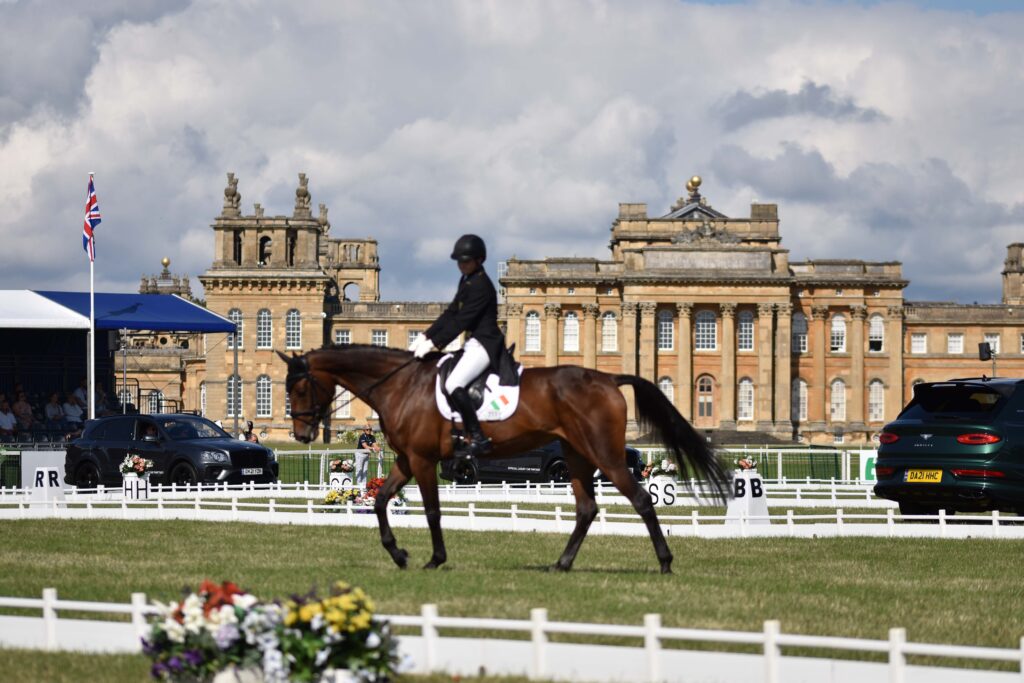 Blenheim Palace Horse Trials News & Guides Rowen Barbary