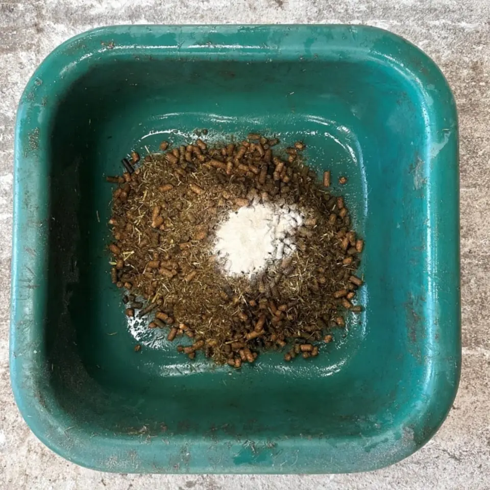 Feeding for Good Joint Health