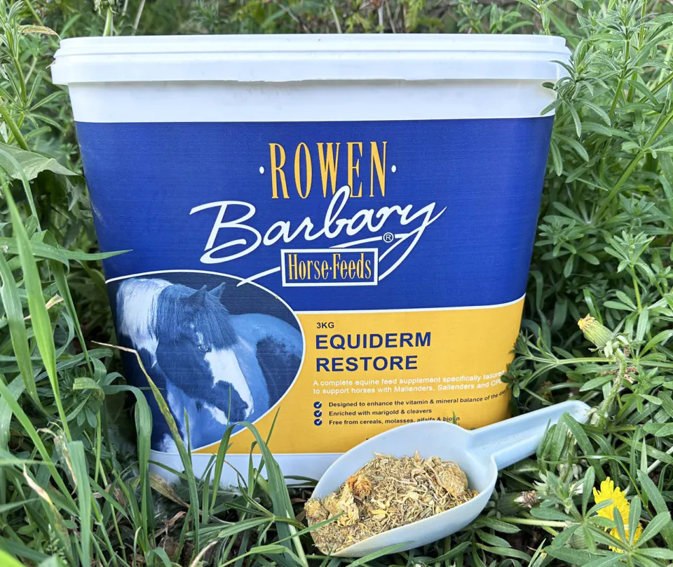 Support Skin & Lymphatic Health Naturally with Rowen Barbary EquiDerm Restore