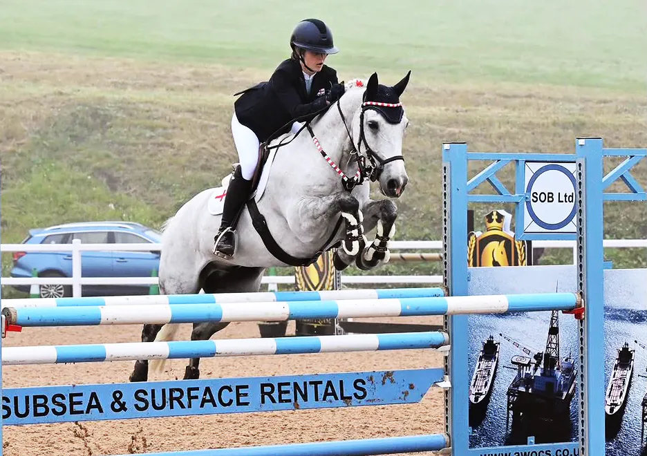 Keeping Your Horse Feeling Energised During the Summer