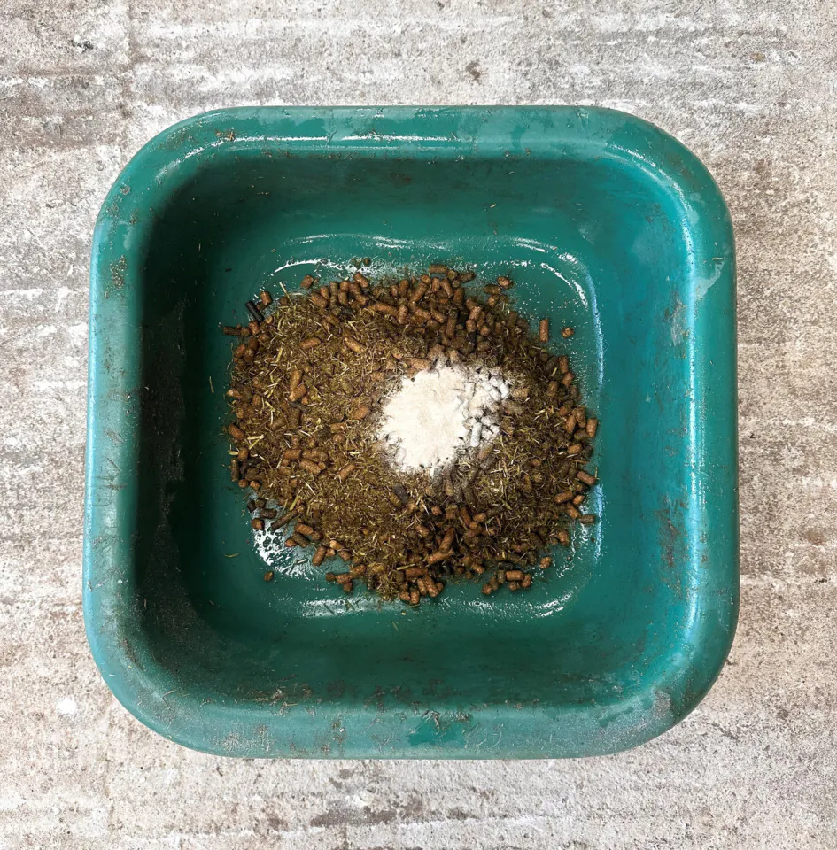 Joint Support for Horses: When Should You Start Feeding a Joint Supplement?