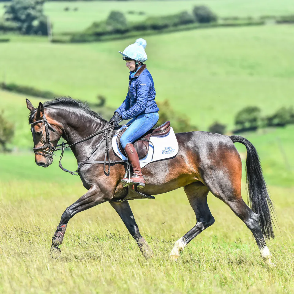 Low Energy Diets for Horses: What Do They Really Mean?